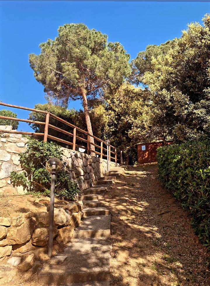 Casa Stecchi Beach كابوليفيري المظهر الخارجي الصورة